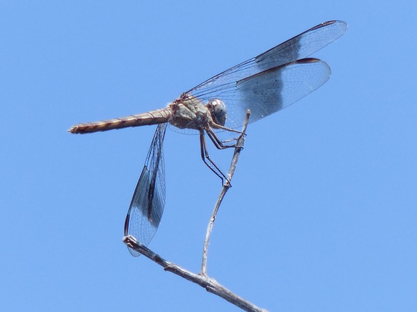 P1110576
