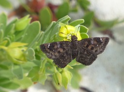 P1110639