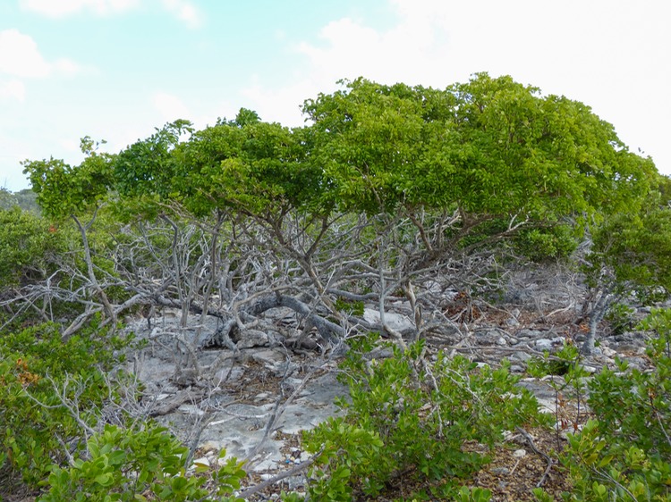 P1140018