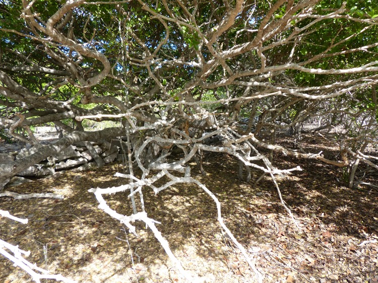P1140021