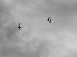 P1150374