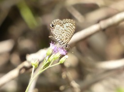 P1160237
