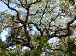 P1160342