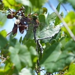 P1160348