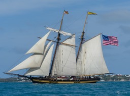 P1180652