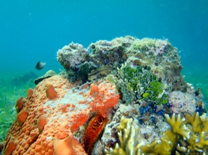 P1200182
