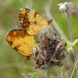 P1250051