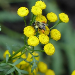 P1260292
