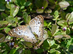 P1260945