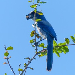 P1270708