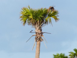 P1270810
