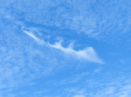 P1280759