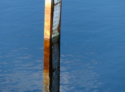 P1290122