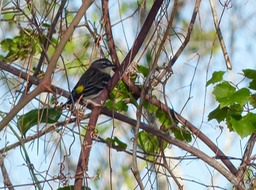 P1290233
