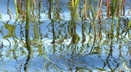 P1290257