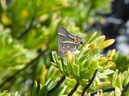 P1290507