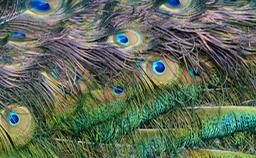 P1290581