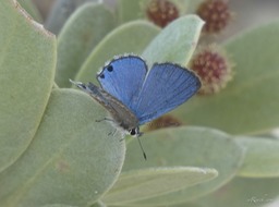 P1290879