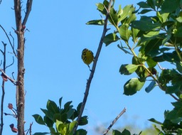 P1300752