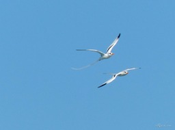 P1300915