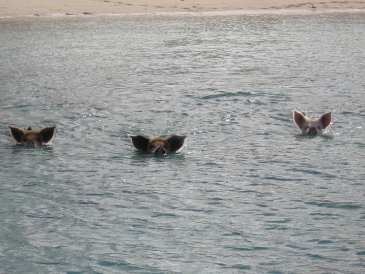 Reach @ Big majors 002