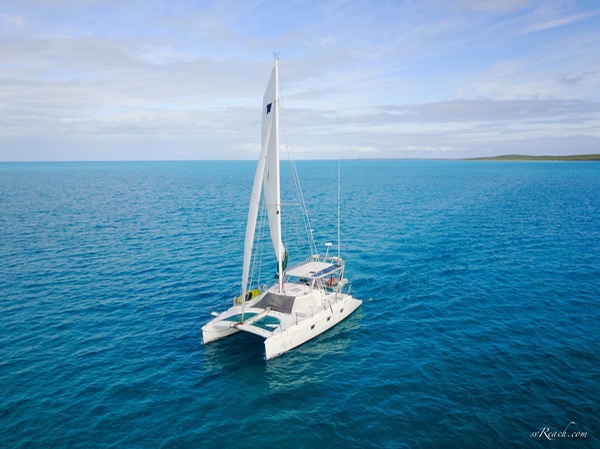 reach-raccoon24-3_med