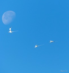 P1300616